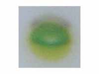 TLC of chlorophyl - step 4