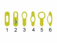 Variations in endospore morphology. (...