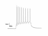 Current Clamp is a common technique i...