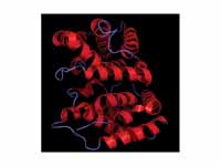 Crystal structure of human IL-22